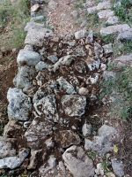IMG_20180922_161636015_resize